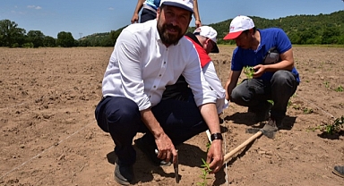 Stratejik Planlar ve Yatırımlar Sındırgı’da İstihdamı Arttırdı