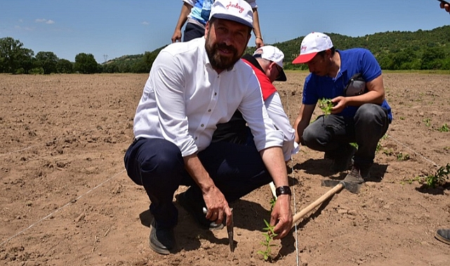 Stratejik Planlar ve Yatırımlar Sındırgı’da İstihdamı Arttırdı