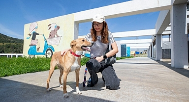 4 Nisan Dünya Sokak Hayvanları Günü PAKO’da kutlandı