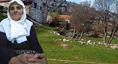 Antalya'da çoban köpeklerinin saldırısına uğrayan kadın öldü