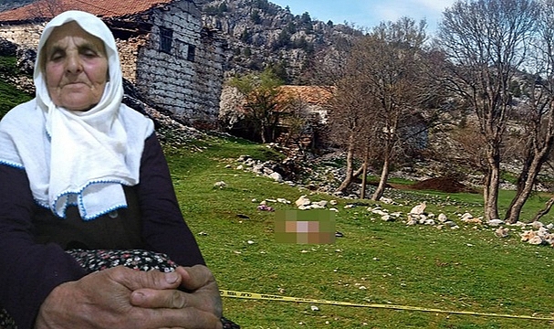 Antalya'da çoban köpeklerinin saldırısına uğrayan kadın öldü
