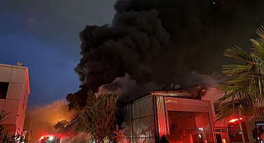 Atatürk Organize Sanayi Bölgesi'nde çıkan yangın kontrol altına alındı