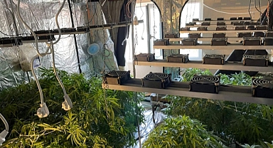 Denizli'de evde uyuşturucu ürettiği iddia edilen kişi tutuklandı