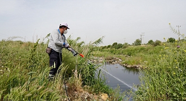 Kemalpaşa’da Haşerelere Karşı İlaçlama Çalışmaları Hızlandı