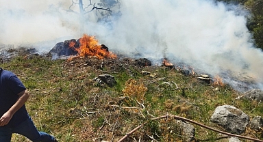 Muğla'da çıkan orman yangını söndürüldü