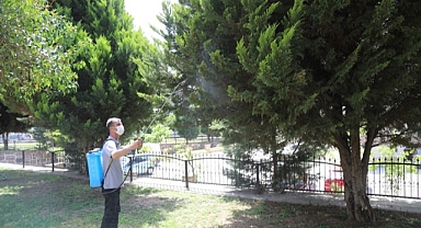 Vatandaş istedi, Başkan Önal talimat verdi