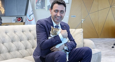 Başkan Önal, yaralı kediye sahip çıktı
