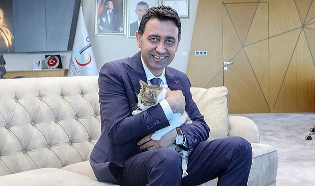 Başkan Önal, yaralı kediye sahip çıktı