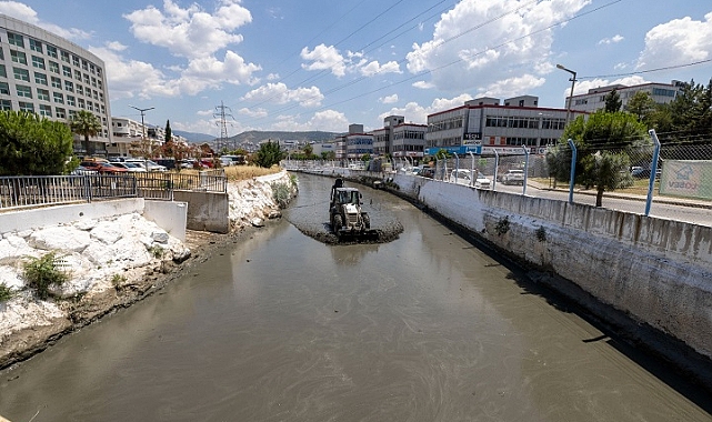 Kokuya karşı mücadelenin etkileri bu yaz görülecek