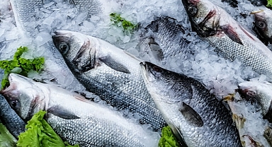 Türk su ürünleri sektörü sürdürülebilirliğe yatırım yapıyor