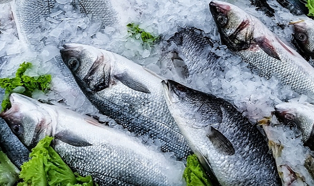 Türk su ürünleri sektörü sürdürülebilirliğe yatırım yapıyor
