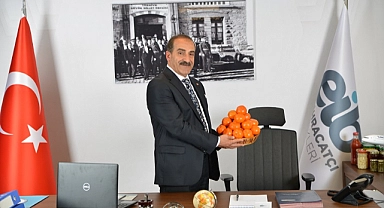 Türkiye, narenciye ürünleriyle dünyaya şifa dağıtıyor