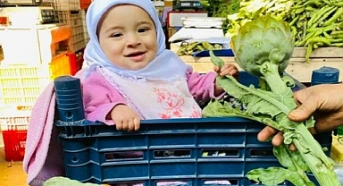 Urla’da Enginar bereketi