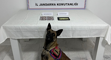 Uyuşturucu operasyonunda yakalanan şüpheli tutuklandı