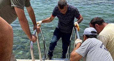 Bayram Tatilinde Menderes Milyonları Ağırladı