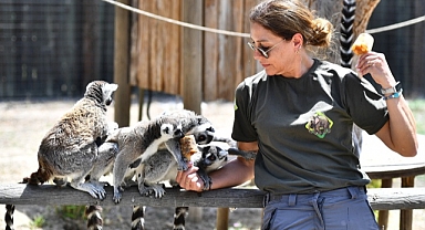 Doğal Yaşam Parkı sakinlerini serinleten menü