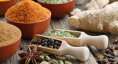 Egeli hububat bakliyat yağlı tohum ihracatçıları 4 firmayla ihracat şampiyonları listesinde