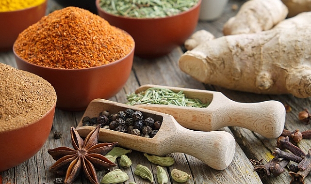 Egeli hububat bakliyat yağlı tohum ihracatçıları 4 firmayla ihracat şampiyonları listesinde