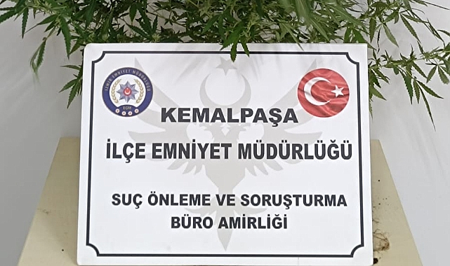 Hint keneviri yetiştirdikleri suçlamasıyla 2 kişi gözaltına alındı