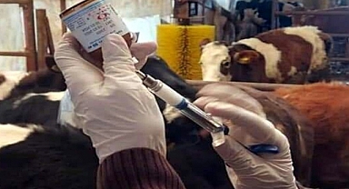 İl Tarım ve Orman Müdürlüğü'nden 'şap' açıklaması