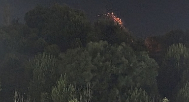 İzmir'de çıkan orman yangını kontrol altına alındı