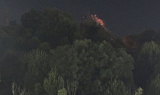 İzmir'de çıkan orman yangını kontrol altına alındı