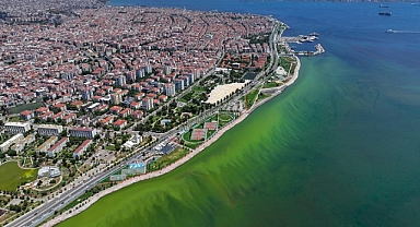 İzmir'de denizin rengini değiştirdi