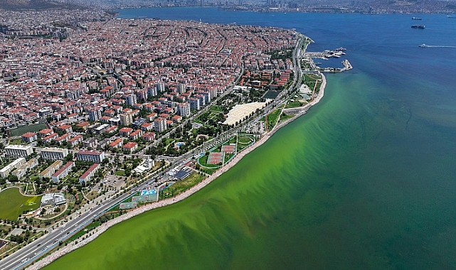 İzmir'de denizin rengini değiştirdi