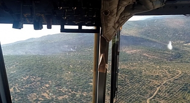 İzmir'de ormanlık ve makilik alanda çıkan yangın söndürüldü