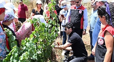 İzmir’de Üzümde İlaç Kalıntısına Geçit Vermeyeceğiz.