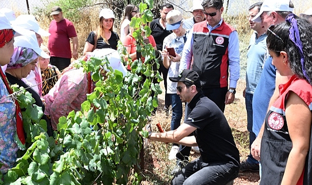 İzmir’de Üzümde İlaç Kalıntısına Geçit Vermeyeceğiz.