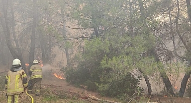 İzmir İtfaiyesi yangınlar için seferber oldu