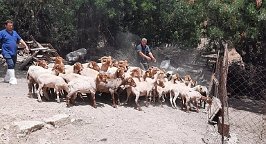 İzmirli üreticiye bir destek daha