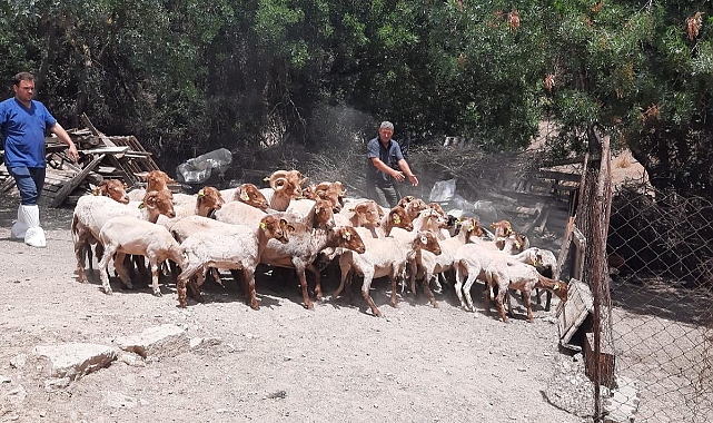 İzmirli üreticiye bir destek daha