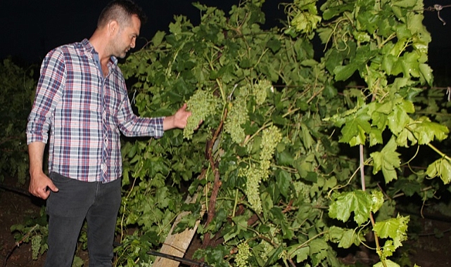 Manisa'da sağanak ve dolu tarım arazilerinde zarara yol açtı