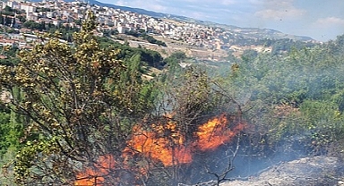 Manisa'da tarım arazisinde çıkan yangın söndürüldü