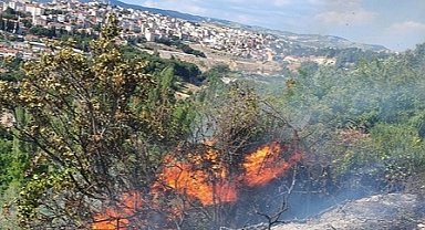 Manisa'da tarım arazisinde çıkan yangın söndürüldü