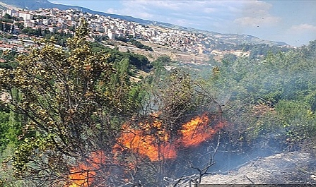 Manisa'da tarım arazisinde çıkan yangın söndürüldü