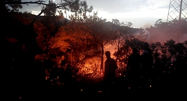 Marmaris ilçesinde çıkan orman yangını söndürüldü