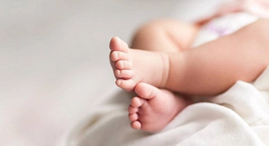 O İllerde doğurfanlık azaldı