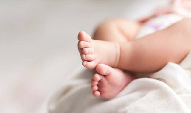 O İllerde doğurfanlık azaldı