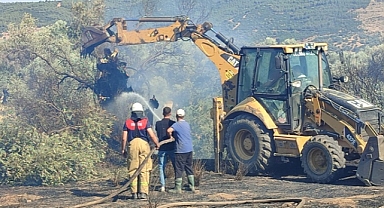 Ödemiş'te çıkan yangında zeytin ağaçları zarar gördü