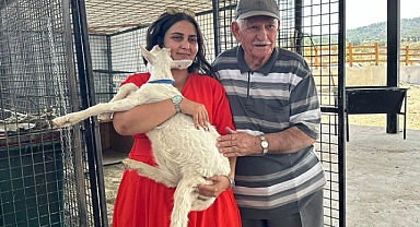 Sahipsiz kediler için anlamlı bağış