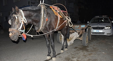 Trafikte alkollü at arabası kullanan kişiye para cezası