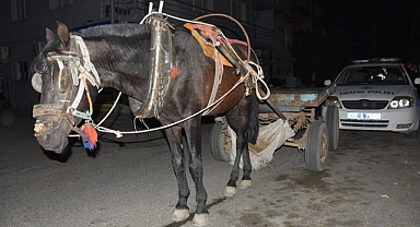 Trafikte alkollü at arabası kullanan kişiye para cezası