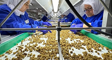 Türk kuru meyveleri yüzde 22 daha katma değerli ihraç ediliyor