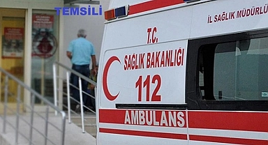 Yola çıkan ata çarpan otomobildeki 1 kişi öldü
