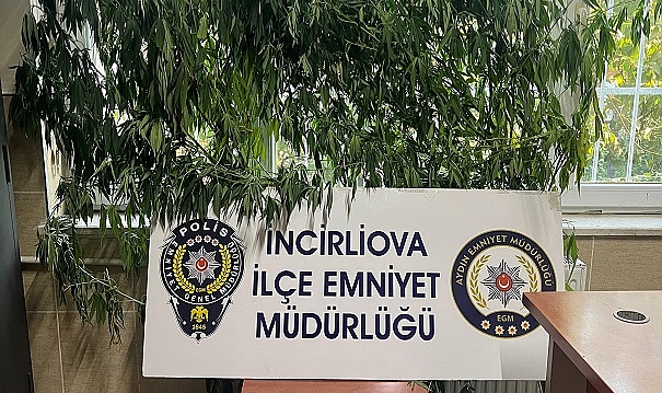 Aydın'da uyuşturucu operasyonu