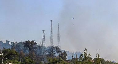 Bornova'da korkutan orman yangını