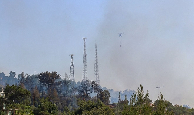 Bornova'da korkutan orman yangını